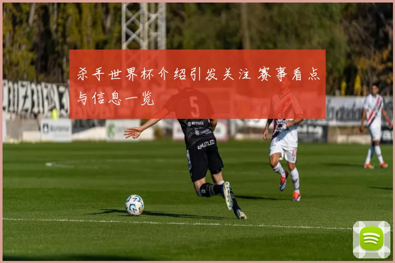 杀手世界杯介绍引发关注 赛事看点与信息一览